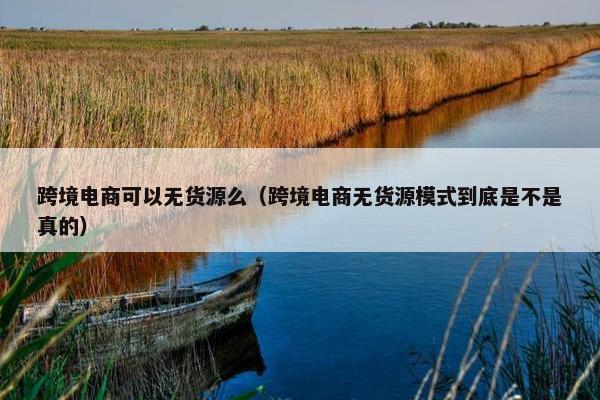 跨境电商可以无货源么（跨境电商无货源模式到底是不是真的）