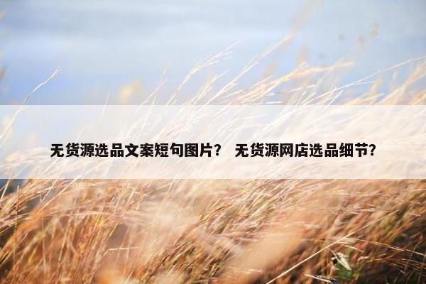 无货源选品文案短句图片？ 无货源网店选品细节？
