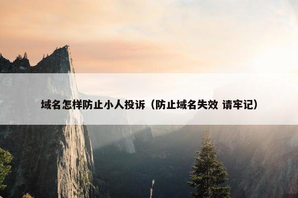 域名怎样防止小人投诉（防止域名失效 请牢记）