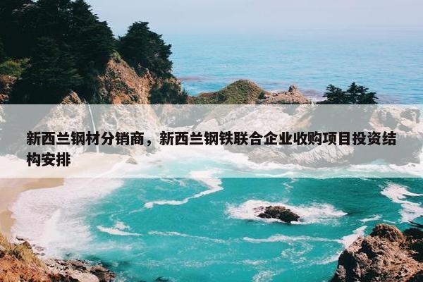 新西兰钢材分销商，新西兰钢铁联合企业收购项目投资结构安排