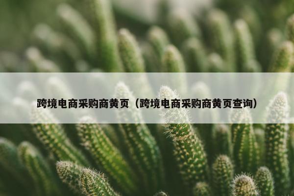 跨境电商采购商黄页（跨境电商采购商黄页查询）