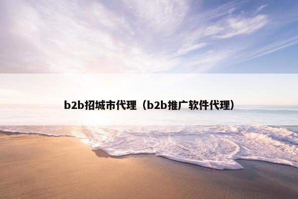 b2b招城市代理（b2b推广软件代理）