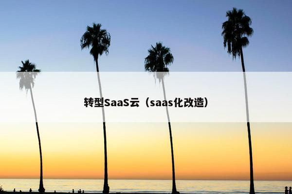 转型SaaS云（saas化改造）