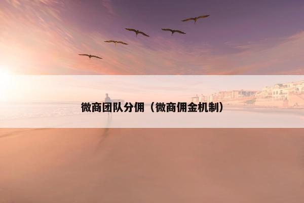 微商团队分佣（微商佣金机制）