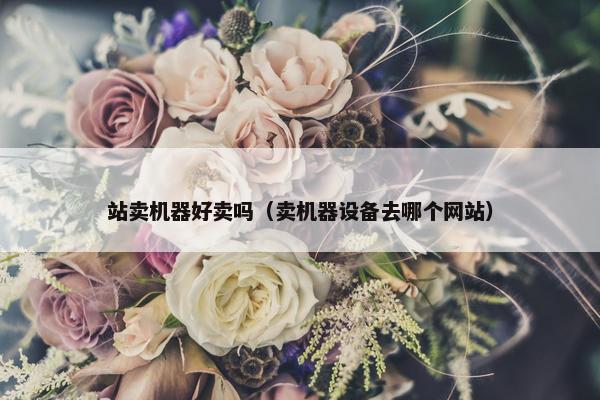 站卖机器好卖吗（卖机器设备去哪个网站）