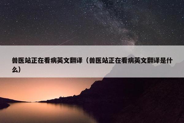 兽医站正在看病英文翻译（兽医站正在看病英文翻译是什么）
