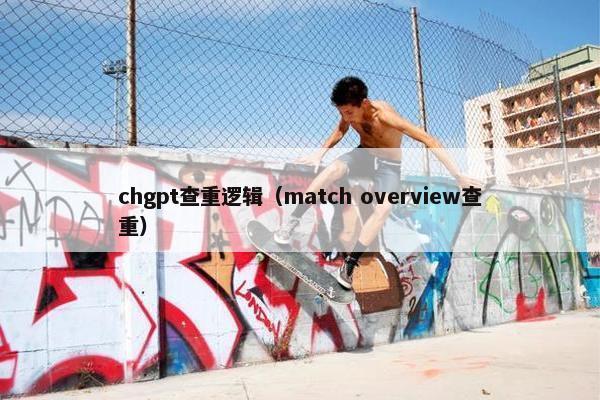 chgpt查重逻辑（match overview查重）
