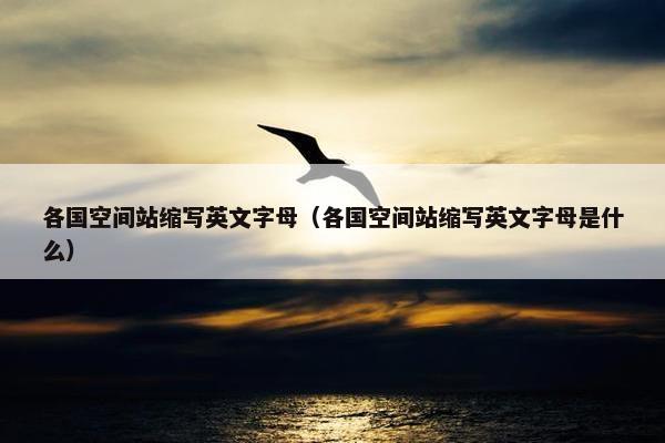 各国空间站缩写英文字母（各国空间站缩写英文字母是什么）