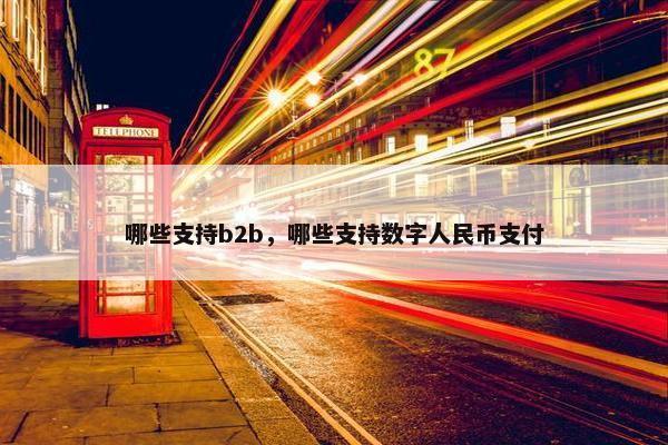 哪些支持b2b，哪些支持数字人民币支付