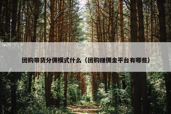 团购带货分佣模式什么（团购赚佣金平台有哪些）