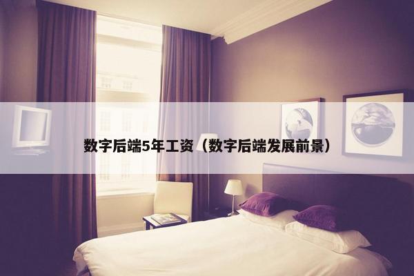 数字后端5年工资（数字后端发展前景）