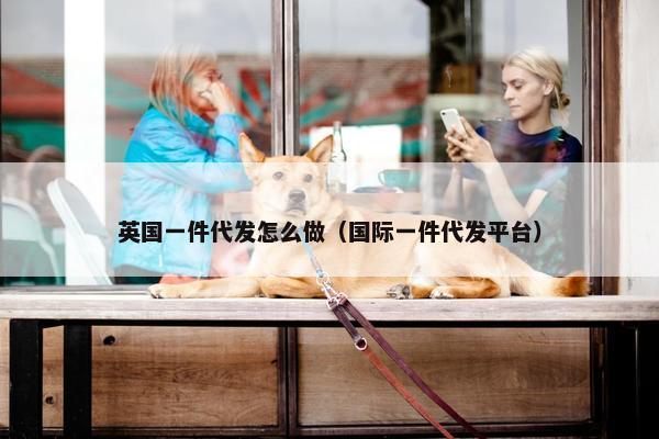 英国一件代发怎么做（国际一件代发平台）