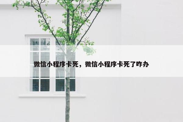 微信小程序卡死，微信小程序卡死了咋办
