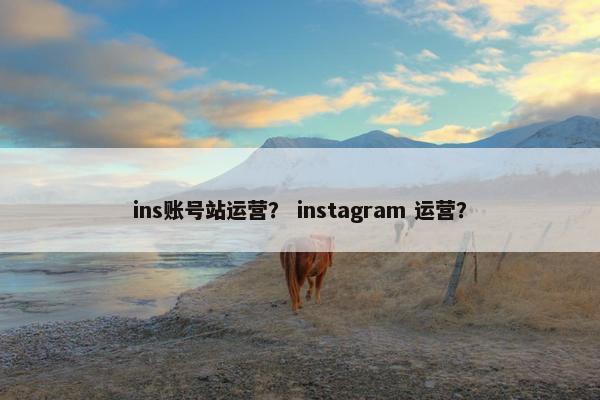 ins账号站运营？ instagram 运营？