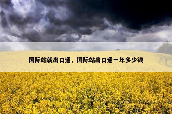 国际站就出口通，国际站出口通一年多少钱