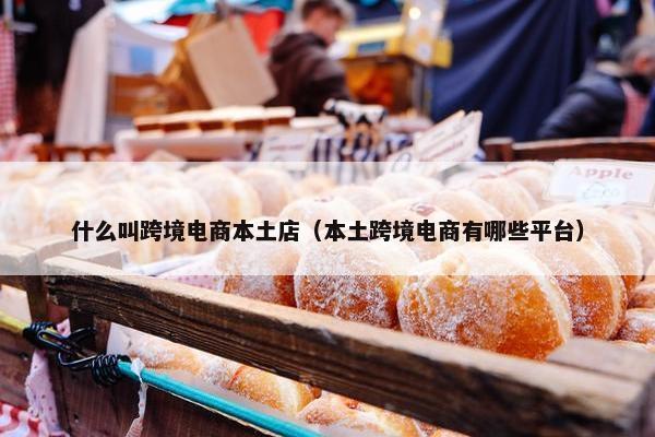 什么叫跨境电商本土店（本土跨境电商有哪些平台）