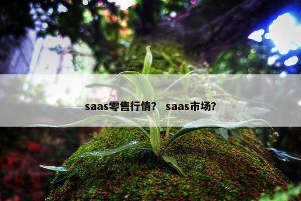 saas零售行情？ saas市场？