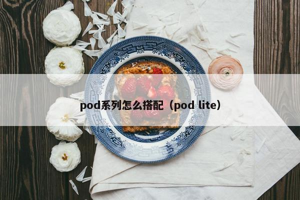 pod系列怎么搭配（pod lite）