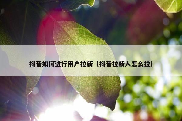 抖音如何进行用户拉新（抖音拉新人怎么拉）