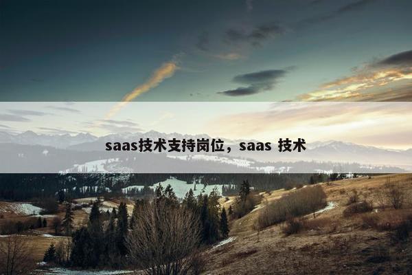 saas技术支持岗位，saas 技术