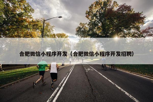 合肥微信小程序开发（合肥微信小程序开发招聘）