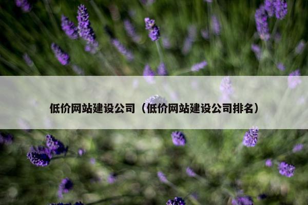 低价网站建设公司（低价网站建设公司排名）