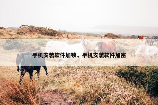 手机安装软件加锁，手机安装软件加密