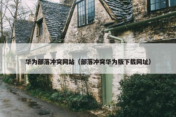 华为部落冲突网站（部落冲突华为版下载网址）