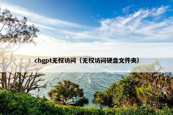 chgpt无权访问（无权访问硬盘文件夹）