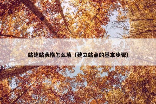 站建站表格怎么填（建立站点的基本步骤）
