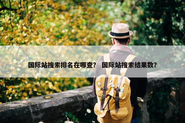 国际站搜索排名在哪查？ 国际站搜索结果数？