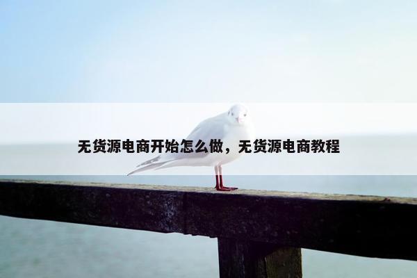 无货源电商开始怎么做，无货源电商教程
