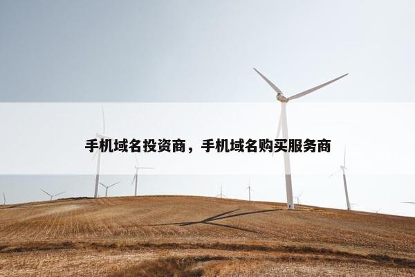 手机域名投资商，手机域名购买服务商