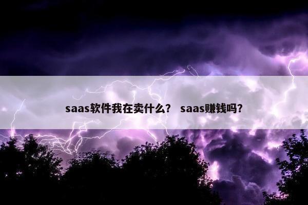 saas软件我在卖什么？ saas赚钱吗？