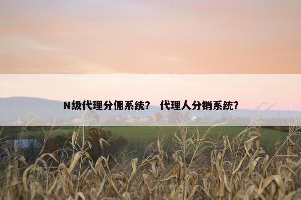 N级代理分佣系统？ 代理人分销系统？