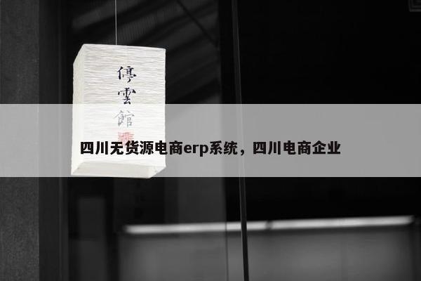 四川无货源电商erp系统，四川电商企业