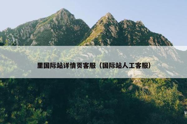 里国际站详情页客服（国际站人工客服）