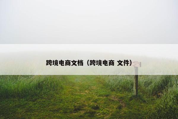 跨境电商文档（跨境电商 文件）