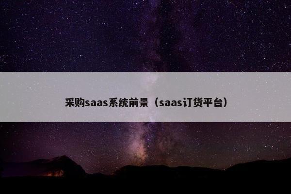 采购saas系统前景（saas订货平台）