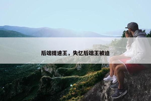 后端提速王，失忆后端王被迫