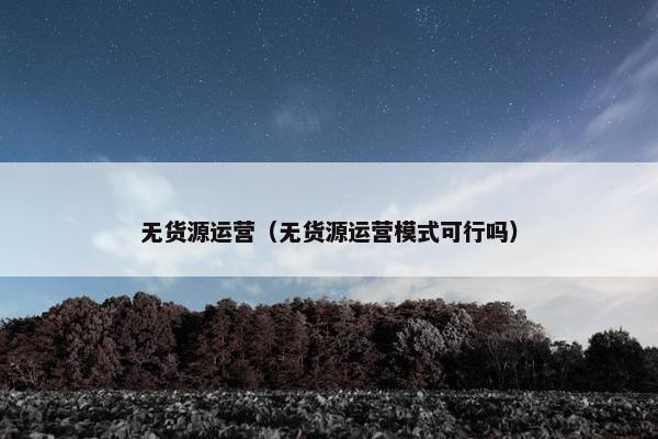 无货源运营（无货源运营模式可行吗）