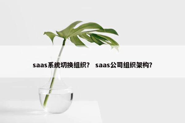 saas系统切换组织？ saas公司组织架构？