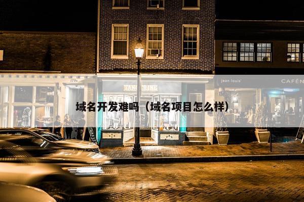 域名开发难吗（域名项目怎么样）