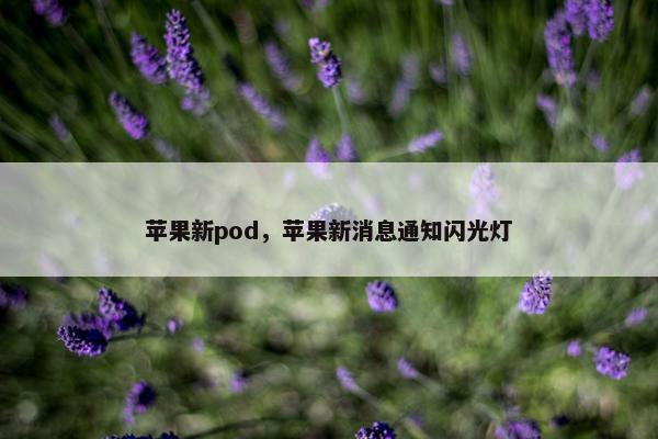 苹果新pod，苹果新消息通知闪光灯