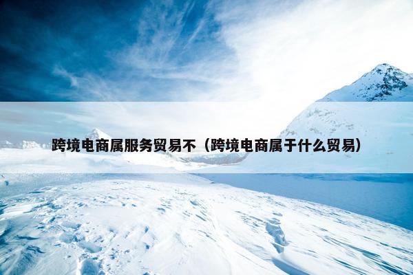 跨境电商属服务贸易不（跨境电商属于什么贸易）