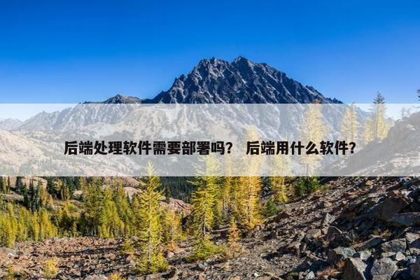 后端处理软件需要部署吗？ 后端用什么软件？