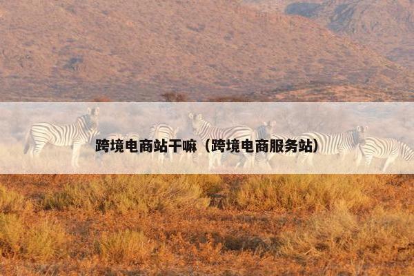 跨境电商站干嘛（跨境电商服务站）