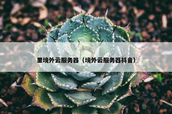 里境外云服务器（境外云服务器抖音）