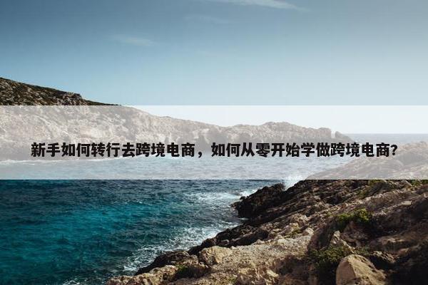 新手如何转行去跨境电商，如何从零开始学做跨境电商?