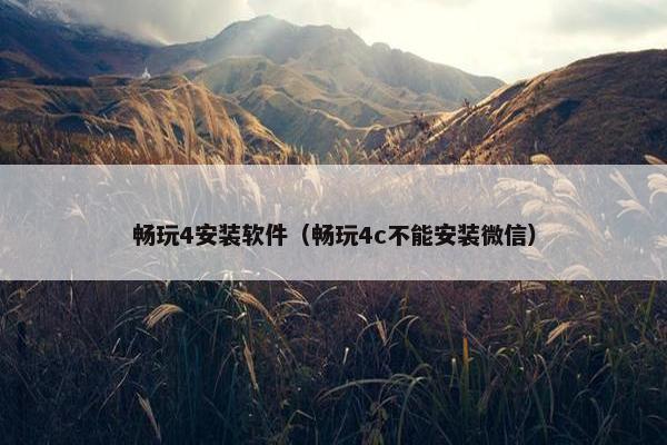 畅玩4安装软件（畅玩4c不能安装微信）
